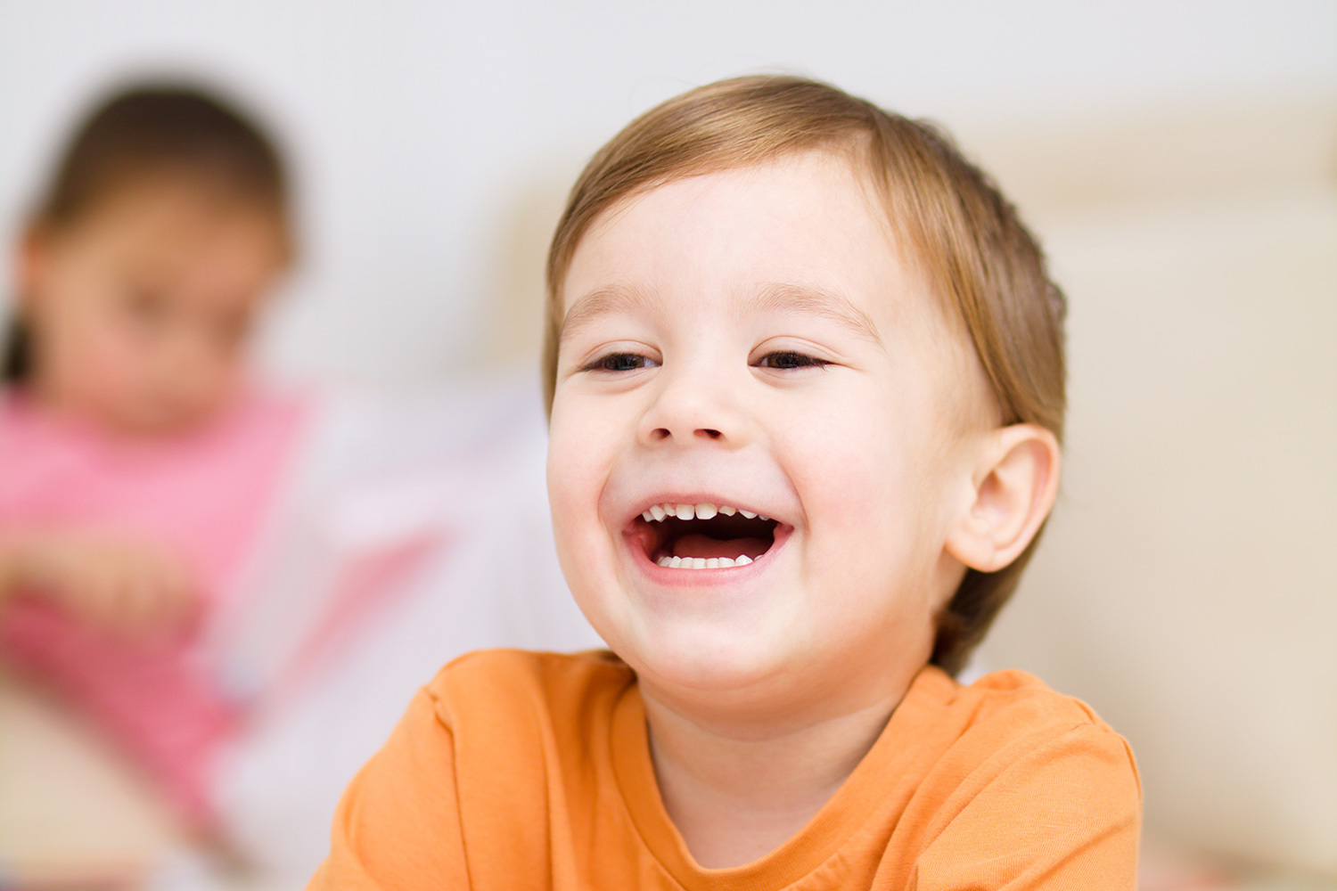 &nbsp;2-3&nbsp; лет